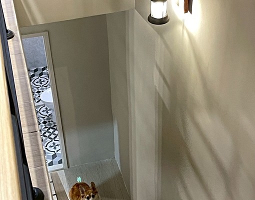 (可社宅)環北路全新整理大透天3房/可租補/可報稅 - Image 11