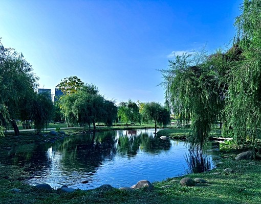 楠梓都會公園高樓層景觀四房車位 - Image 12