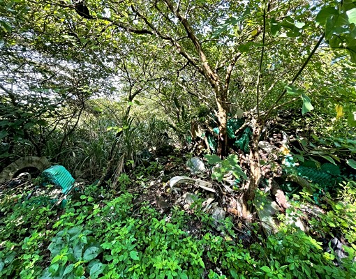 住商安和仁愛店-五股暴賺墓園用地