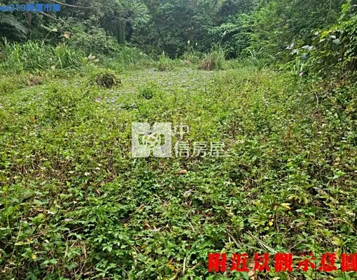 K938三峽中山路茅埔段方正農地💖中信劉蕙蘭