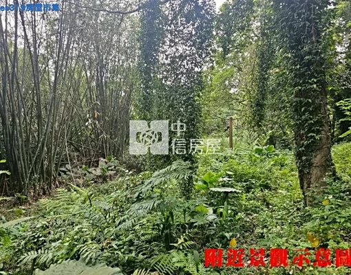 物件圖片