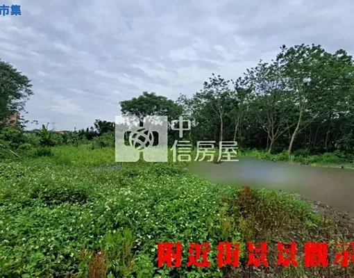 K986大柑園💖西園段農地💖中信劉蕙蘭