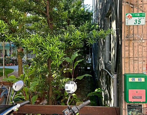 中正區植物園旁一樓辦住可停車 - Image 9