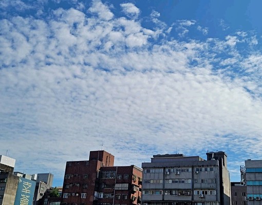 小巨蛋,可租補,免佣,全新裝修,代收垃圾 - Image 6