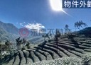 鹿谷鄉-和雅村土地，4269坪