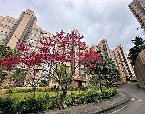 熱帶嶼便宜套房 - Image 12