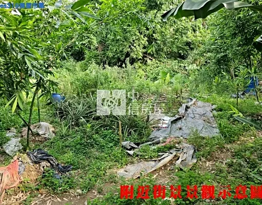 物件圖片
