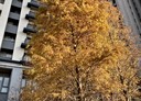 東區-慈雲路3房2廳，31.8坪