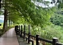 員山鄉-枕山一段土地，1219坪