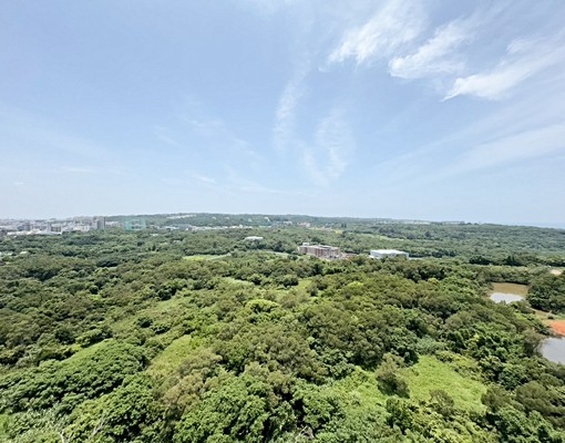 💎全新心豐花園次頂樓+平面車位 - Image 11