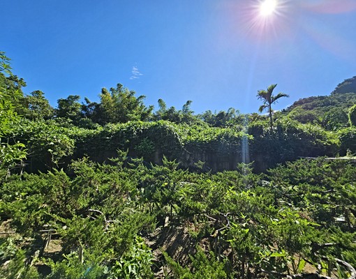 文山路增值農地、正路邊、面積大、平坦方便好使用