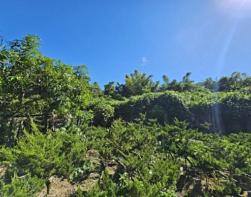 物件圖片