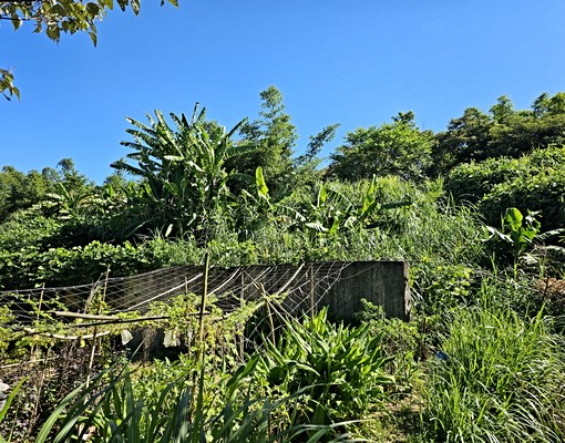 物件圖片