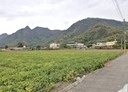 美濃區-美濃段土地，322.7坪