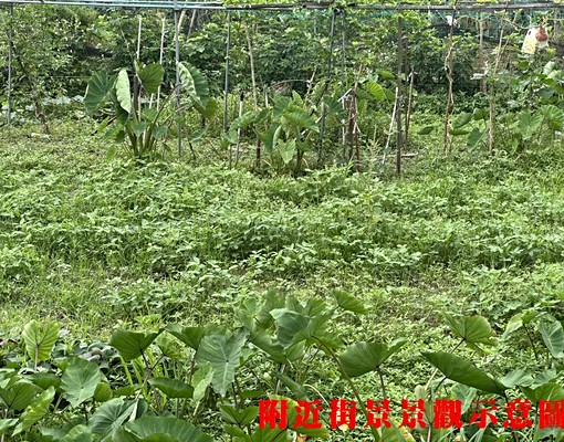 物件圖片