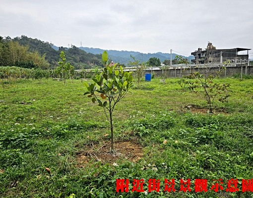物件圖片