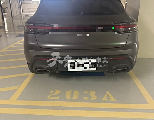 租~銳揚巴洛克景觀2+1房平車全新未住~含平車含管可以養寵物 - Image 15