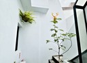中西區-府中街3房1廳，25.5坪