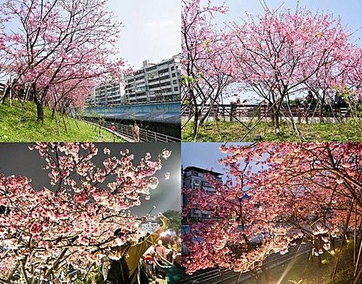 捷運東湖72商圈雅寓2樓大套房_限女性 - Image 5