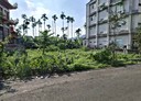 集集鎮-土地，148.4坪