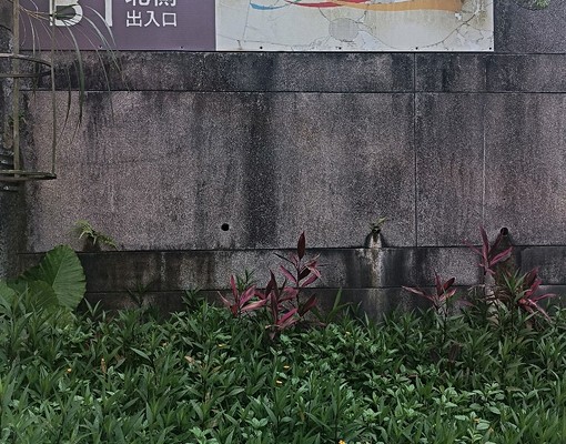 🏠汐科站旁超優質套房出租｜生活機能佳｜免仲介費！ - Image 10