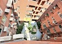東區-花園街3房2廳，31.8坪