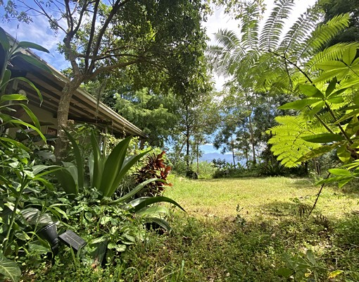 南投國姓鄉雲端上的農舍土地出租 - Image 10