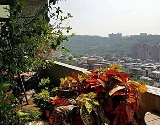 南加州兩百萬裝潢高樓層景觀花園豪宅可短租 - Image 14