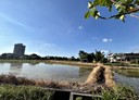 楊梅區-四湖段土地，821坪