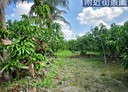 阿蓮區-土地，367.5坪