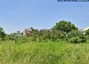 大肚區-土地，92.3坪