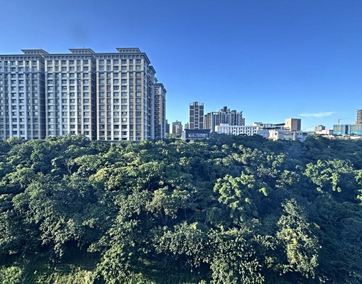 近輕軌江南頤和綠景裝潢美3房(車位社區好租) - Image 14