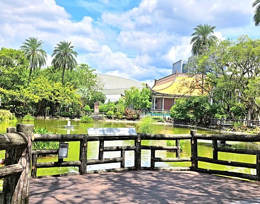 仁愛路國館光復南路415巷住辦一樓 - Image 2
