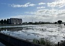 礁溪鄉-土地，975.6坪