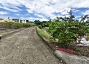燕巢區-土地，987.3坪