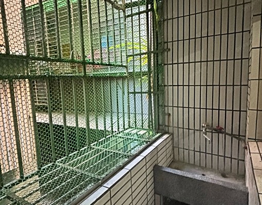 府中捷運❤️大坪數❤️後埔忠孝國小中❤️可寵神明廳❤️對外窗 - Image 9