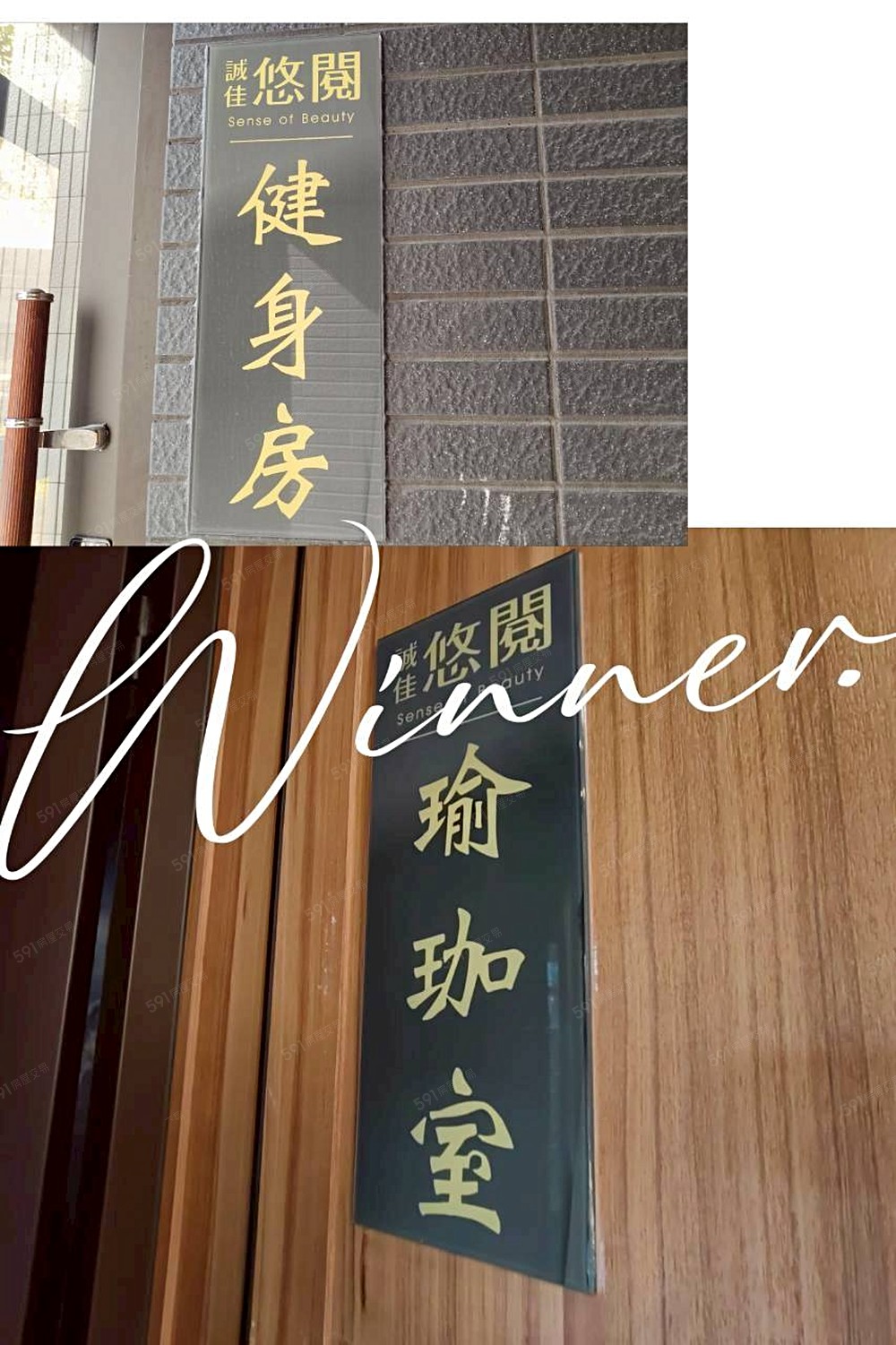 照片