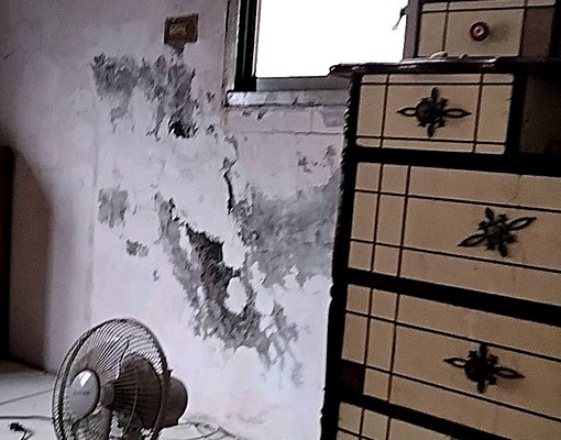 環境優近公園,海水浴場。可開伙。包含水電。 - Image 8