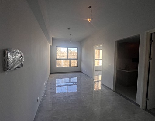 🏠A19青埔全新晶璽二房雙衛浴＋平面 - 591租屋網 - Image 1