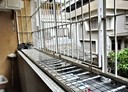 北區-開元路3房2廳,25.4坪