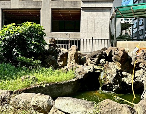 🩷三井兩房💕麗林學區可入籍可租補🔆免仲介費 - Image 13