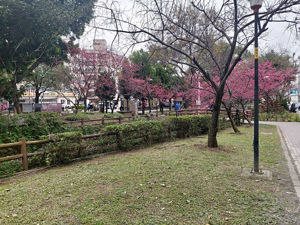 桃園租屋,中壢租屋,住辦出租