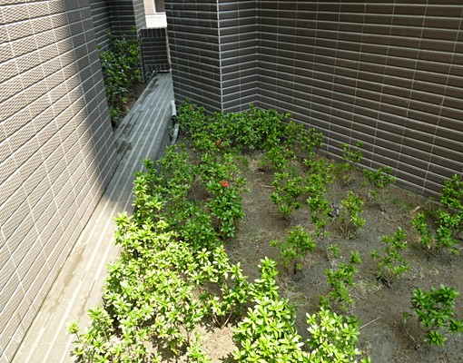 全新交屋水天靓社區兩房平面停車位 - Image 10