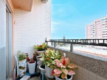 緯九路🌈4房平車雙衛浴開窗..
