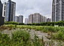 龜山區-樂捷段土地，234.6坪