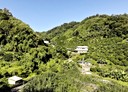 大湖鄉-土地，1088坪