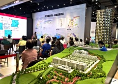 金龍海嘯將滿周年 房仲代銷業冷到凍傷