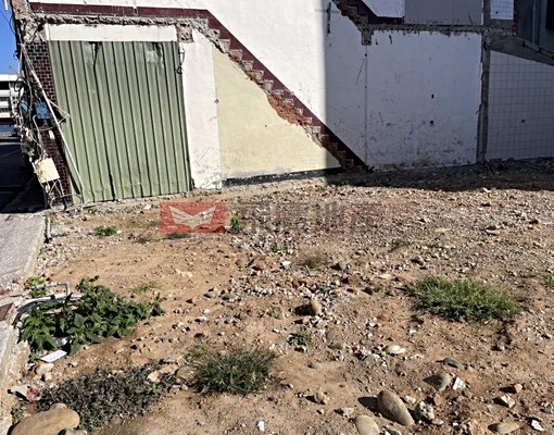 飛鷹素綿專任君毅中學旁美建地