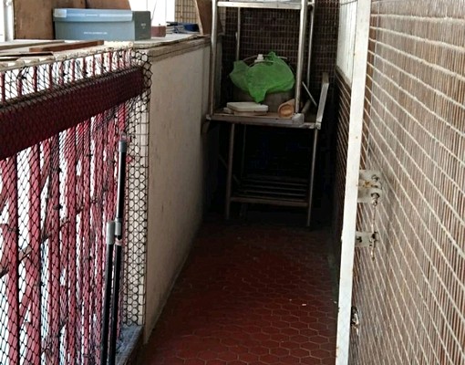 西門新光三越建安市埸建身工埸 - Image 12