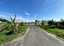 歸仁區-歸仁北段土地，1090坪